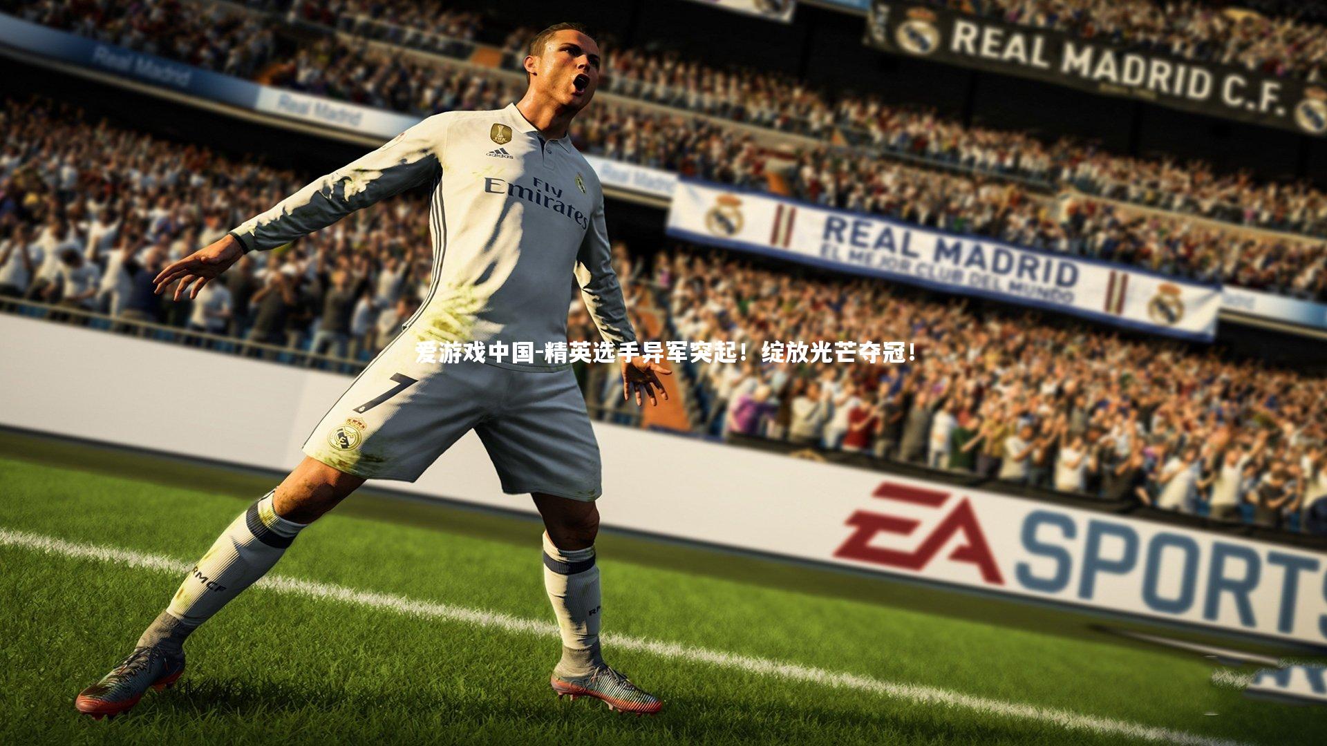 精英选手异军突起！绽放光芒夺冠！