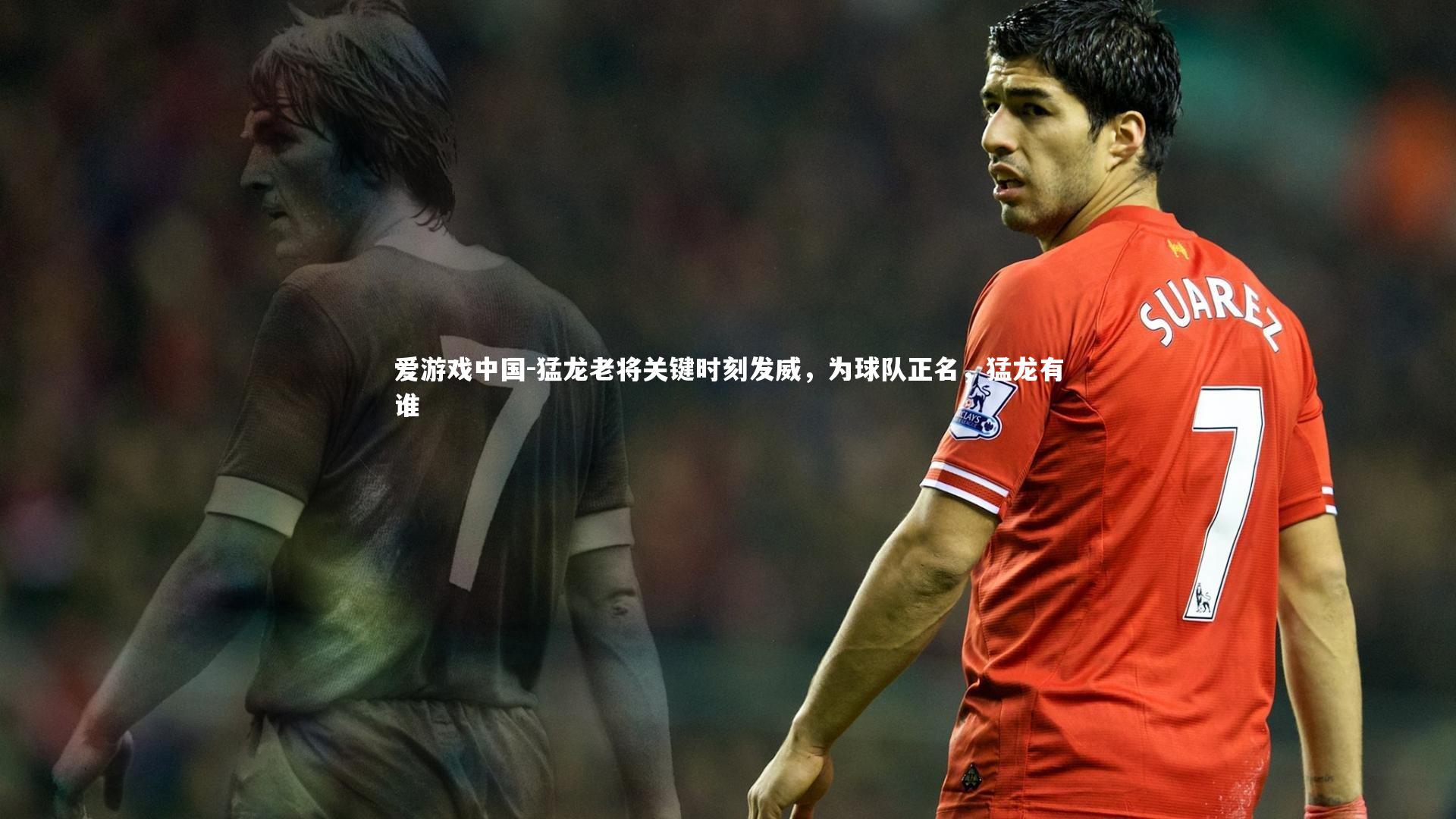 猛龙老将关键时刻发威，为球队正名，猛龙有谁