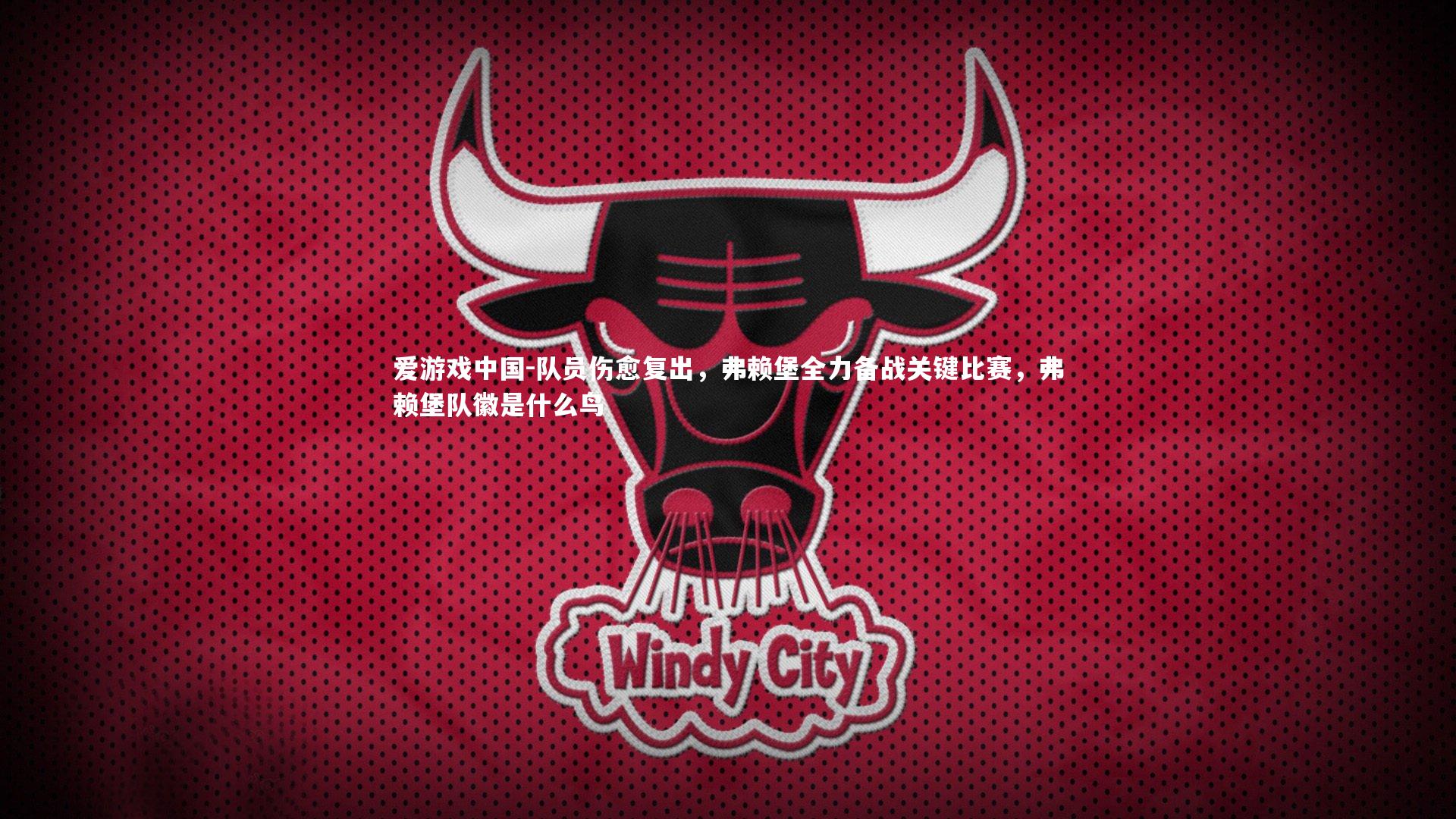 队员伤愈复出，弗赖堡全力备战关键比赛，弗赖堡队徽是什么鸟