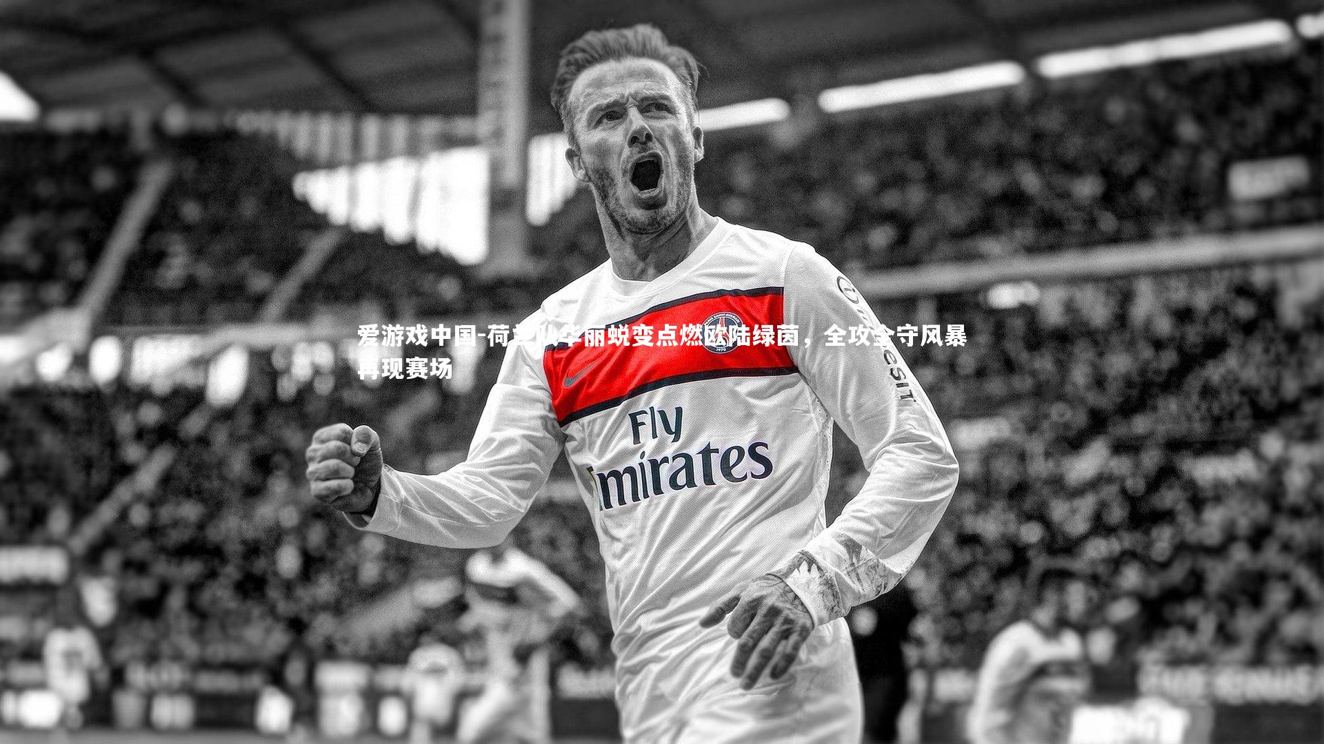 荷兰队华丽蜕变点燃欧陆绿茵，全攻全守风暴再现赛场